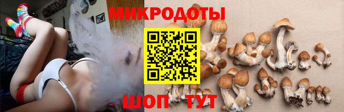 Галлюциногенные грибы прущие грибы Губкинский